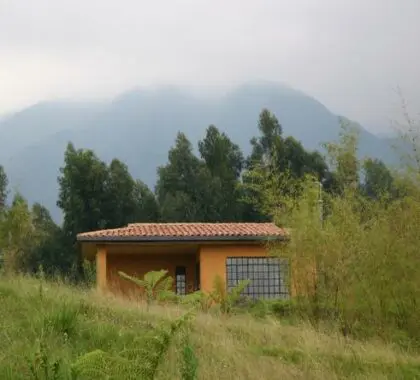 Las Virungas son algunas de las montañas más altas de África Oriental y constituyen el telón de fondo del lodge.