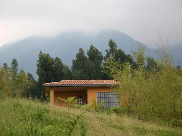 Las Virungas son algunas de las montañas más altas de África Oriental y constituyen el telón de fondo del lodge.
