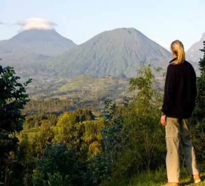 Discover the incredible beauty of the Virungas and surrounding wilderness on hikes and excursions.
