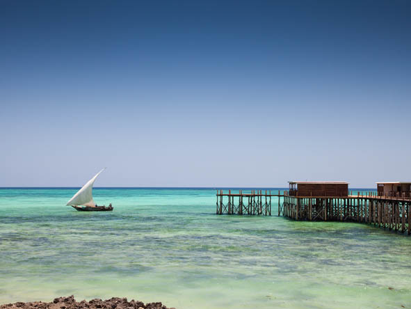 After game drives & walking safaris, sit back on a white-sailed dhow & watch the Indian Ocean coast slip by.