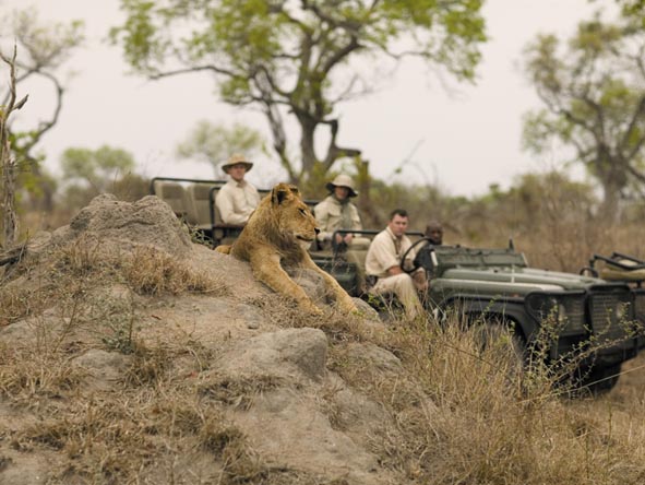 Kruger's private reserves offer superb game viewing & combine easily with Mozambique's dazzling archipelagos.