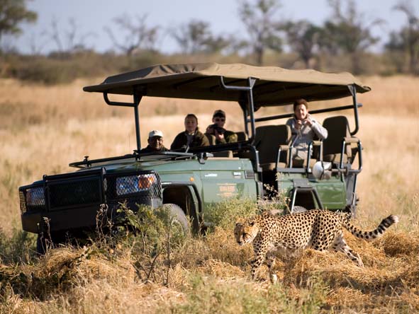 Botswana's legendary game viewing can easily be combined with a tropical beach holiday - ask us how.