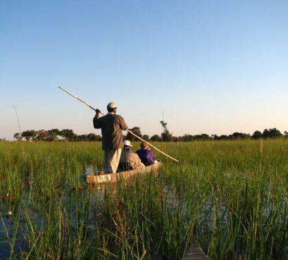 Explore the winding waterways of the Okavango Delta before kicking back on a white-sand beach.