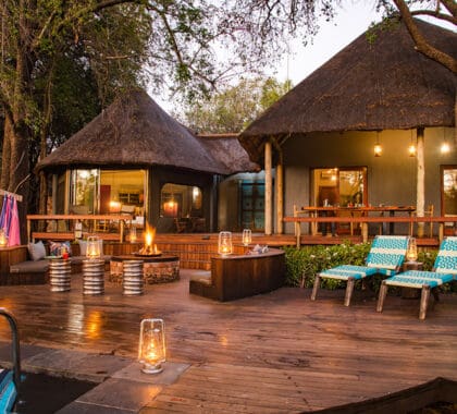 The evening glow | Jaci's Safari Lodge