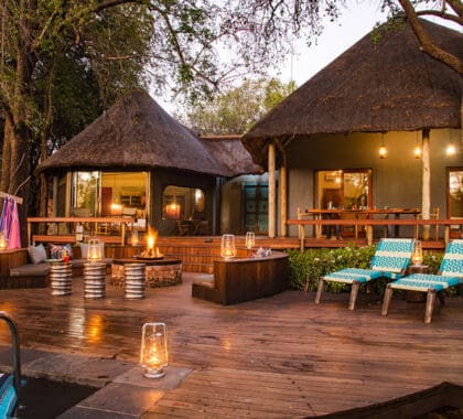 Safari-Suite_Jaci's-Safari-Lodge