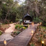The Starpod | Jaci's Safari Lodge