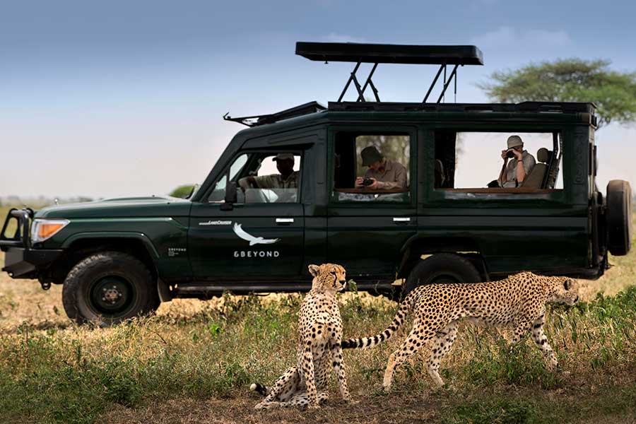 Safari-game-drive-andBeyond-Serengeti-Under-Canvas