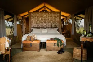 Interior de la tienda safari.