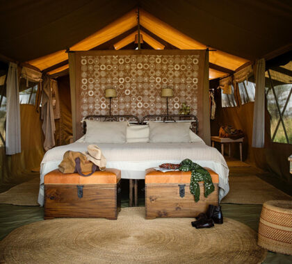 Serengeti Safari Camp North-Safari-tent