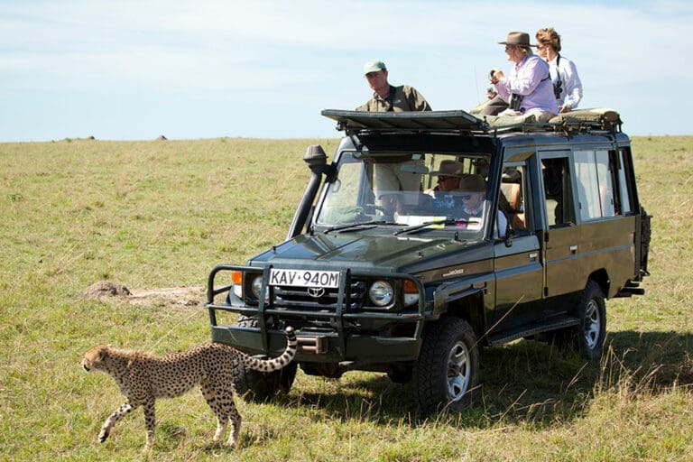 Game drives through the Maasai Mara Game Reserve, in Kenya.