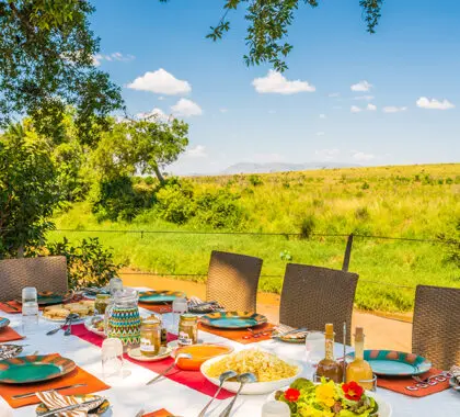 Disfrute de su desayuno matutino en plena naturaleza.