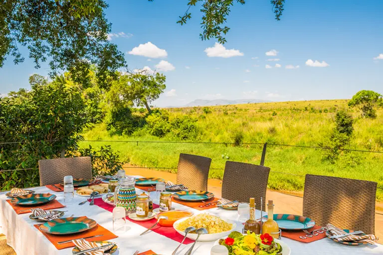 Enjoy your morning breakfast in the wild.
