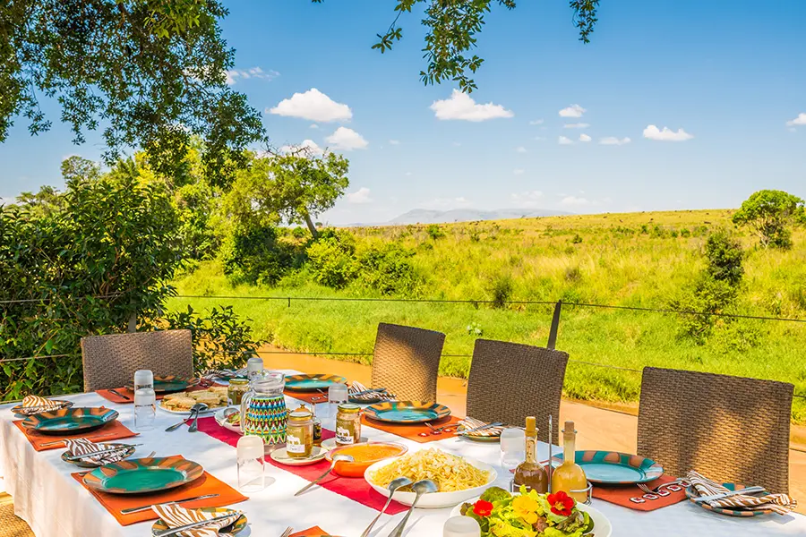 Disfrute de su desayuno matutino en plena naturaleza.
