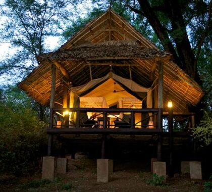 Set under shady acacia trees, the camp's raised suites look out over the Uaso Nyiro River.