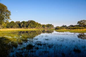 Situado en la isla del Jefe, en el delta del Okavango. 