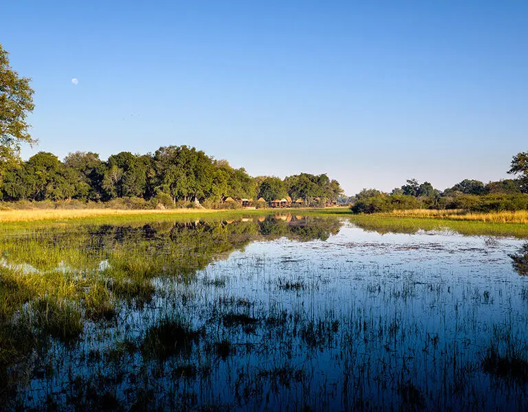 Situated on Chief's Island in the Okavango Delta. 