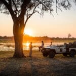 Recorridos para observar la prolífica fauna salvaje.