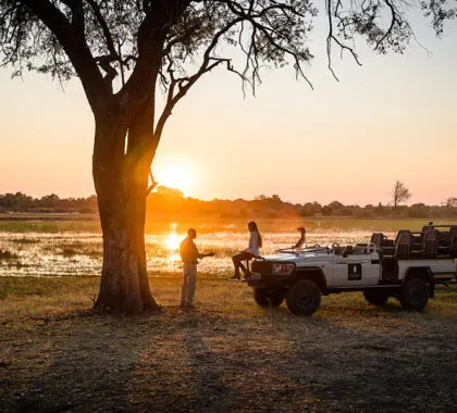 Game drives to see prolific wildlife. 