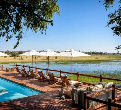 Dese un refrescante chapuzón entre safaris. 