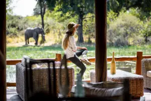 La fauna salvaje campa a sus anchas cerca del campamento de Sanctuary Chiefs.