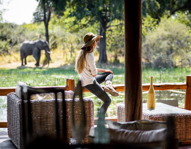 Elephants around camp is not an uncommon sight. 