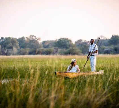 Paseo en mokoro.