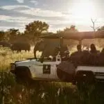 Recorridos tradicionales por el Parque Nacional de Chobe.