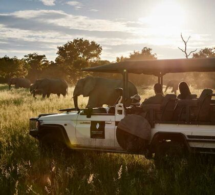 Traditional game drive at Chobe National Park.