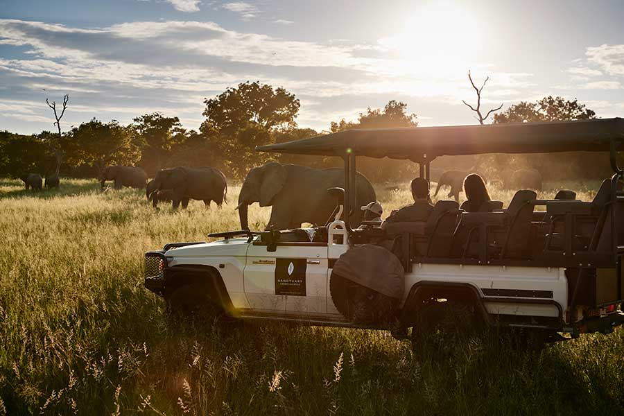 Traditional game drive at Chobe National Park.