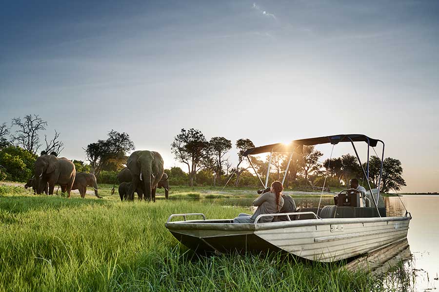 Safari acuático con Sanctuary Chobe Chilwero.