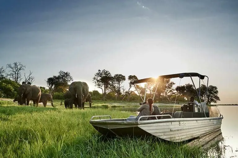 Water-based safari on the Chobe River.