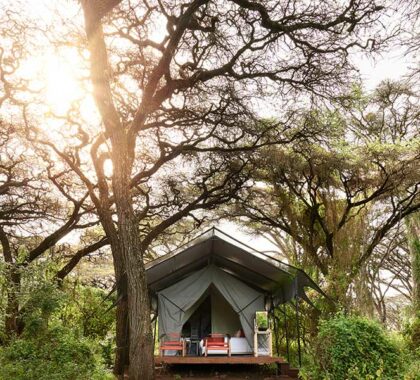 Sanctuary-Ngorongoro-Crater-Camp-tent-exterior
