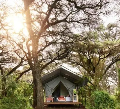 Exterior de la tienda del Sanctuary Ngorongoro Crater Camp.