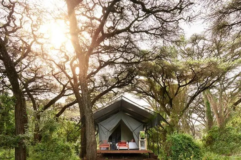 Ngorongoro Crater Camp tent exterior.