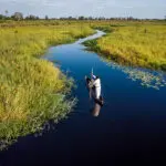 Paseo en mokoro por el delta del Okavango.