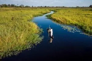 Serene mokoro excursions (subject to water levels). 