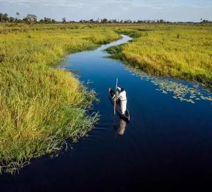 Serenas excursiones en mokoro (sujetas al nivel de las aguas). 