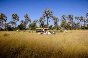 Traditional game drives through the Okavango Delta in Botswana.