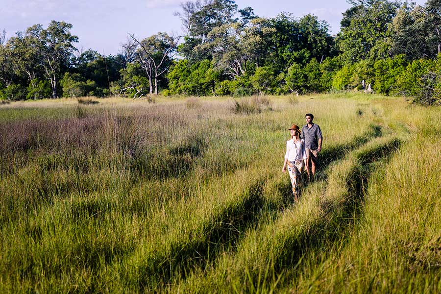 Guided nature walks.