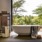 Bathroom with a view.