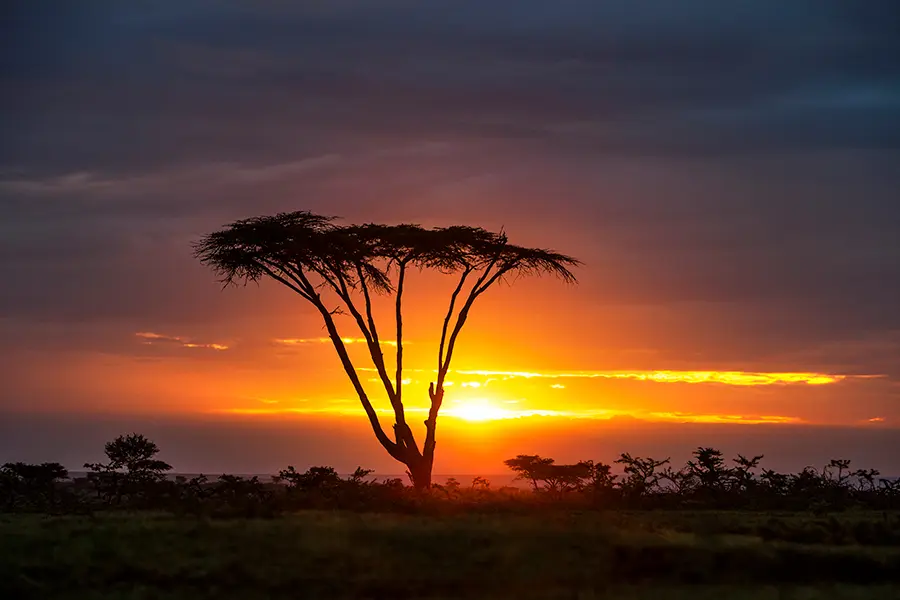 Preciosa puesta de sol africana.
