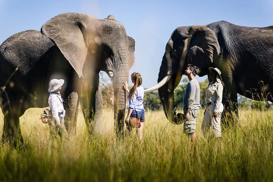 Home of the Living with Elephants interaction.