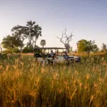 Exceptional game drives.