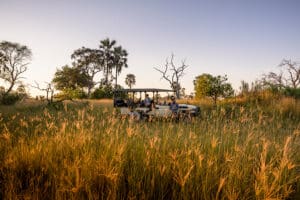Exceptional game drives.