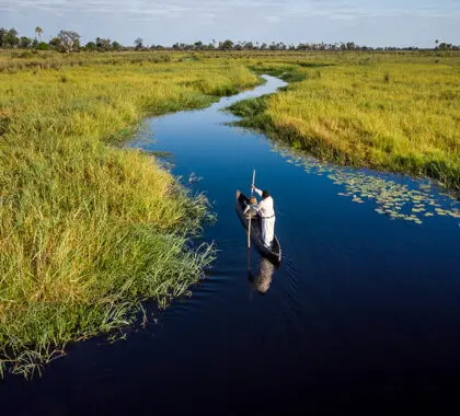 Paseo en mokoro por las vías fluviales del Delta.