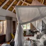 Elegant tree-forts are built into the canopy of giant ebony trees.