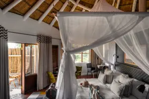 Elegant tree-forts are built into the canopy of giant ebony trees.