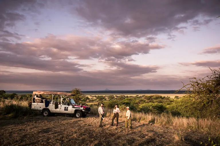 Thrilling game drives.