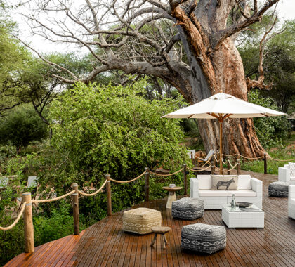 An exceptionally private safari hideaway.