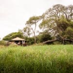 Enclavado en un remoto rincón del Parque Nacional de Tarangire.